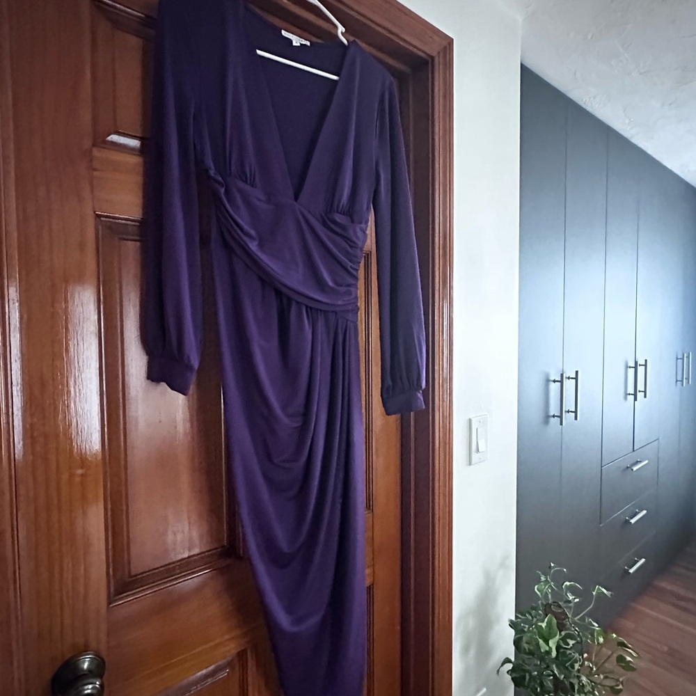 Elegant Purple Women's Dress eggplant purple size small